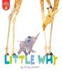 Little Why - Preview