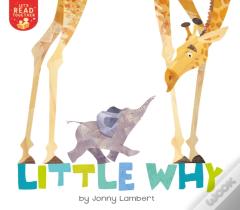 Little Why