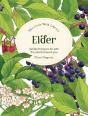 Little Wild Library: Elder - Preview