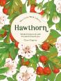 Little Wild Library: Hawthorn - Preview