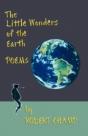 Little Wonders Of The Earth - Preview