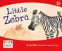 Little Zebra - Preview
