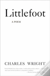 Capa do artigo Littlefoot
