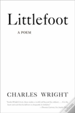 Capa do artigo Littlefoot