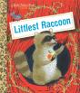 Littlest Raccoon - Preview
