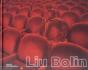 Liu Bolin - Preview
