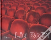 Liu Bolin