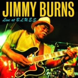 Capa do artigo Live at B.L.U.E.S. - CD