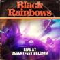 Live at Desertfest Blegium - CD - Preview