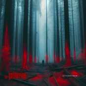 Capa do artigo Live at Dynamo Open Air - Vinil