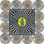 Live at Field of Vision '25 - Vinil - Preview