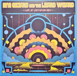 Capa do artigo Live At Levitation 2014 - Vinil