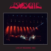 Capa do artigo Live at Reading 1982 - Vinil