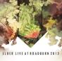 Live at Roadburn 2013 - Vinil - Preview