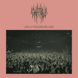 Capa do artigo Live At Roadburn 2023 - Vinil