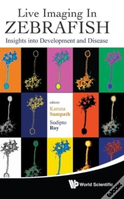 Capa do artigo Live Imaging In Zebrafish: Insights Into Development And Disease