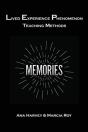 Lived Experience Phenomenon Teaching Methods - Preview