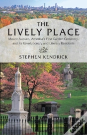 Capa do artigo Lively Place