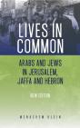Lives In Common - Preview