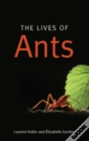Capa do artigo Lives Of Ants