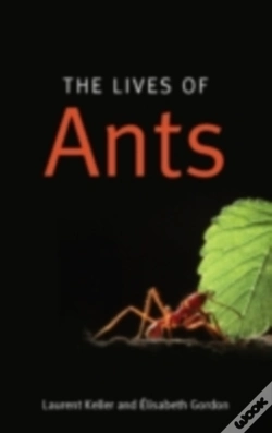 Capa do artigo Lives Of Ants