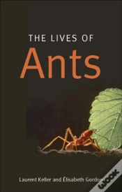 Capa do artigo Lives Of Ants