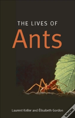 Capa do artigo Lives Of Ants
