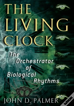 Capa do artigo Living Clock