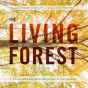 Living Forest The - Preview