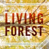 Living Forest The