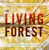 Capa do artigo Living Forest The