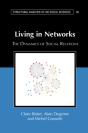 Living In Networks - Preview