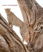 Living In The Environment - Preview