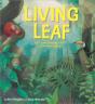 Living Leaf - Preview