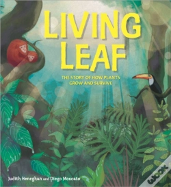 Capa do artigo Living Leaf