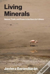 Capa do artigo Living Minerals