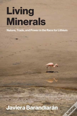 Capa do artigo Living Minerals