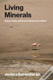 Capa do artigo Living Minerals