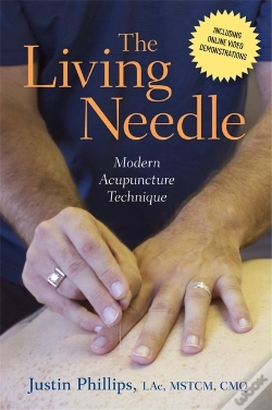 Capa do artigo Living Needle