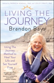 Capa do artigo Living The Journey