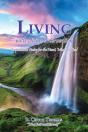 Living With Divine Intervention - Preview
