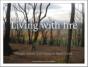 Living With Fire - Preview