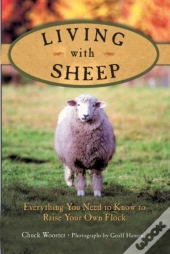 Living With Sheep