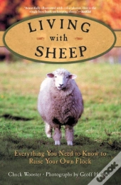 Living With Sheep
