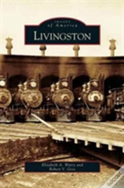 Capa do artigo Livingston