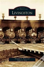 Capa do artigo Livingston