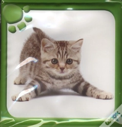 Capa do artigo Livre Bain Animaux Mignons