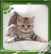 Capa do artigo Livre Bain Animaux Mignons