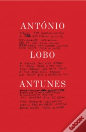 Capa do artigo Livro de Poemas