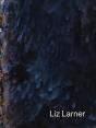 Liz Larner - Preview